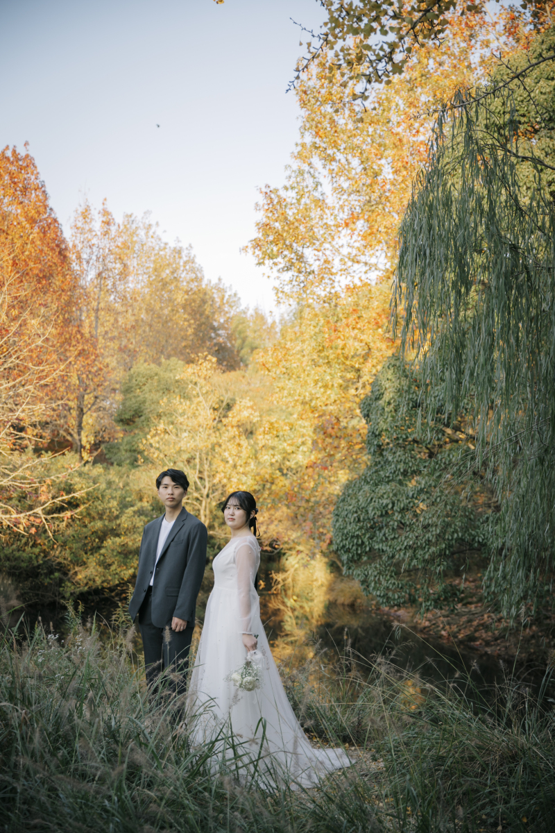 まるで絵画のような