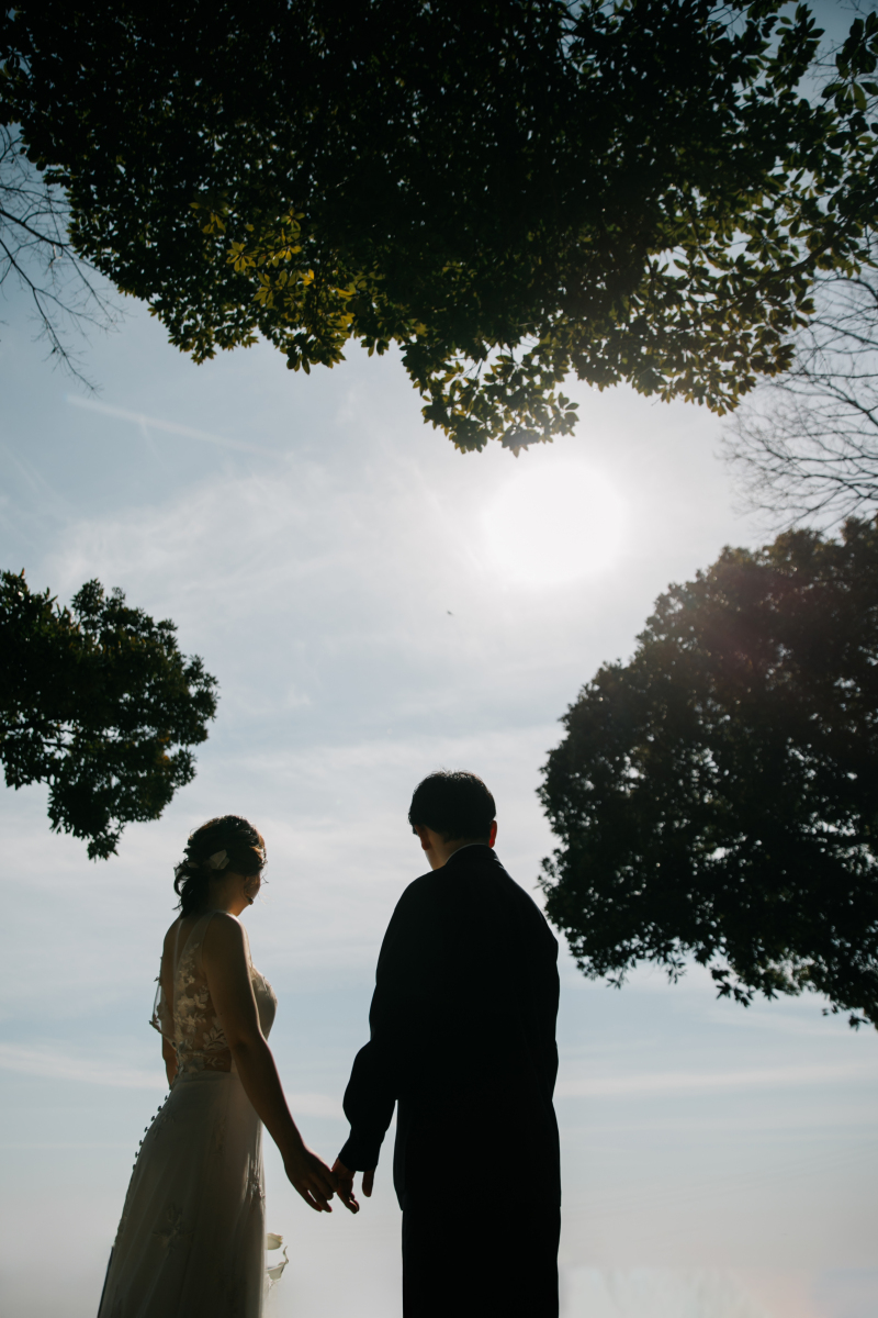 シルエットカット