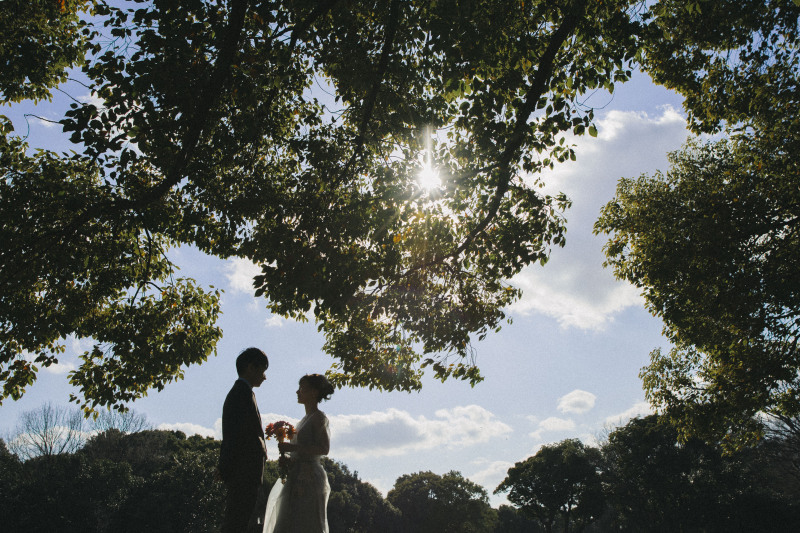 自然が作り出すシルエット