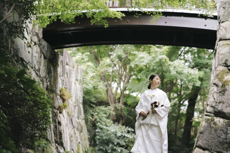 緑がきれいな背景で