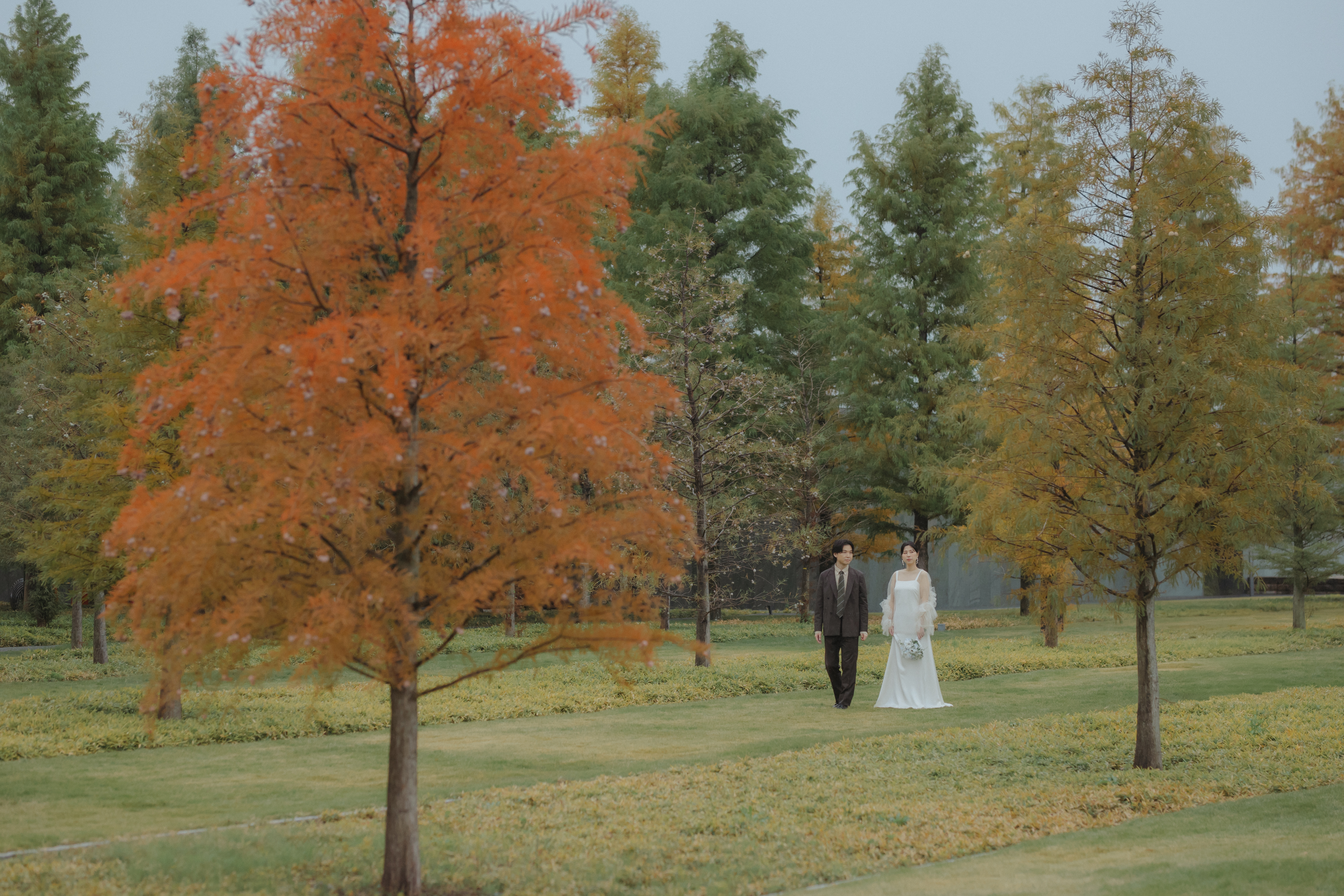 step1 事前来店・お問合せ