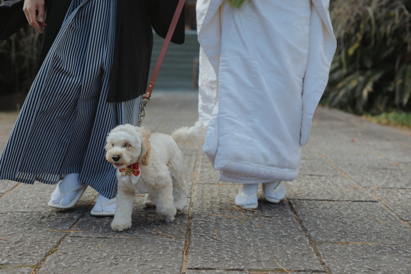 【和装1着プラン/ペットと撮影】ロケーション前撮り【ドレス代込み】