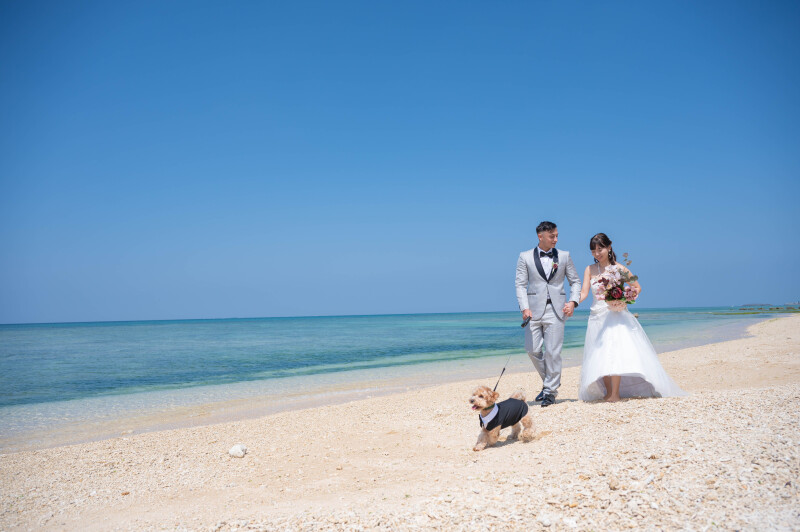 海辺を歩く、いつものふたり