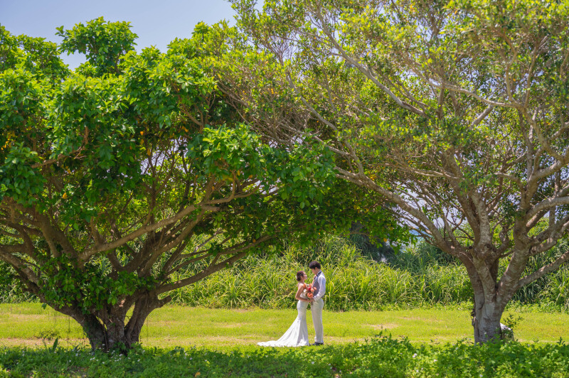 緑に包まれた、穏やかなワンシーン