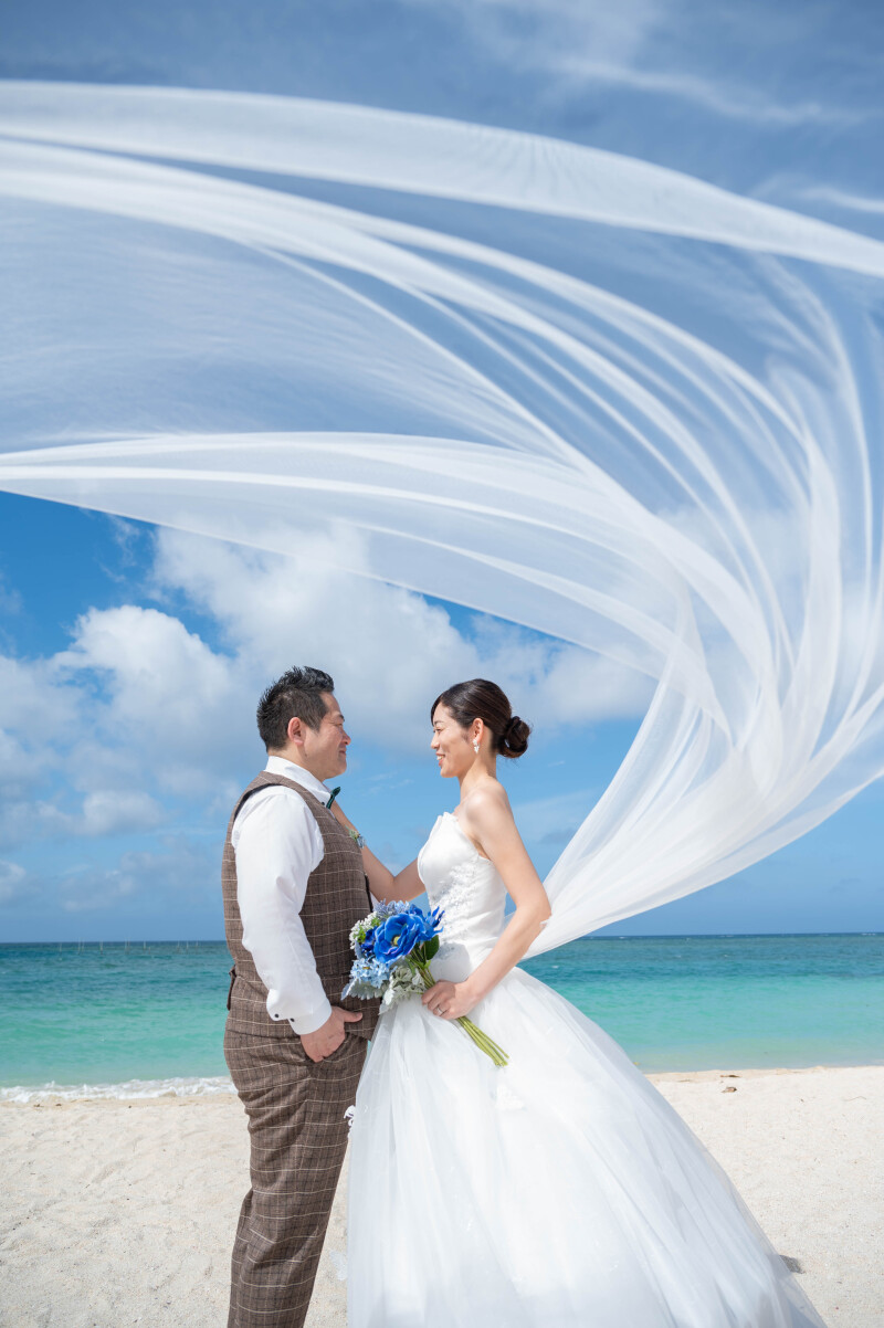 風をまとったベールショット