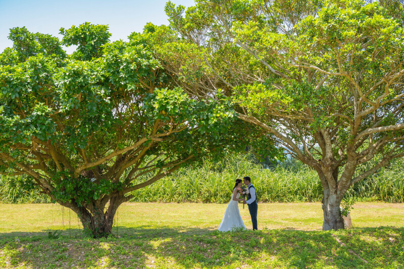 緑に包まれた、やさしい時間