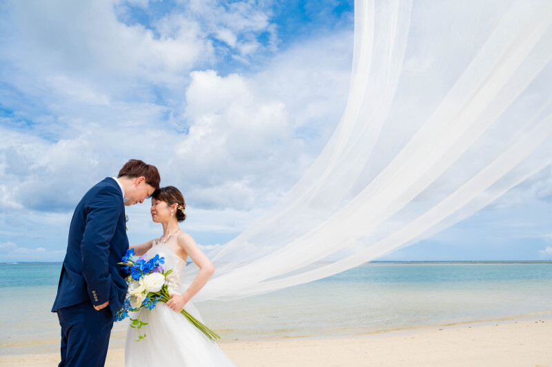 風をまとうベール