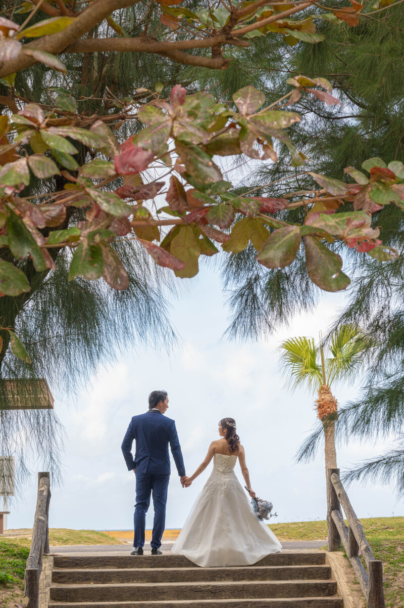 木々のトンネルを抜けて