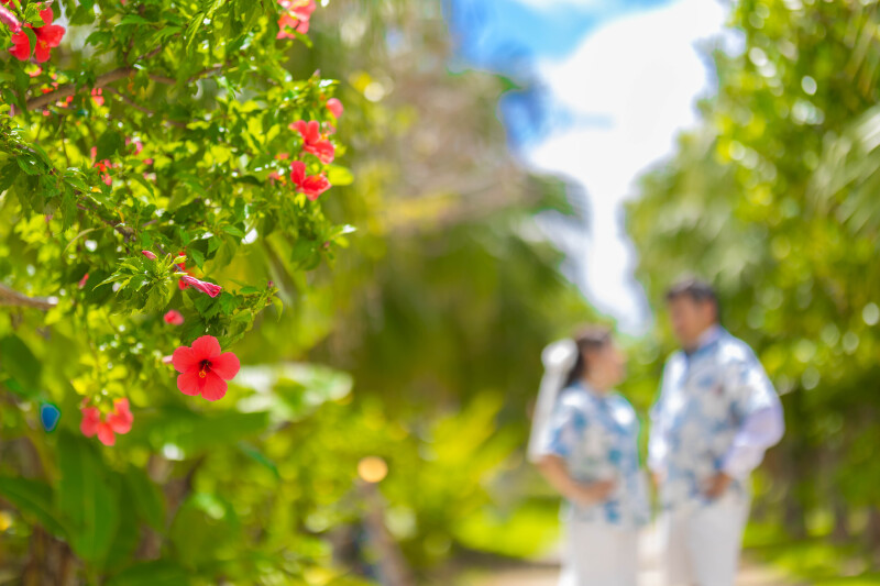 南国に咲く愛と笑顔のフォトウェディング
