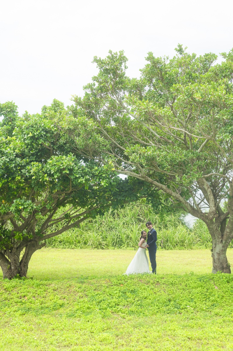 色鮮やかなグリーン