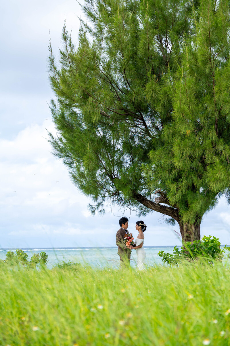 大きな木の下で交わす想い