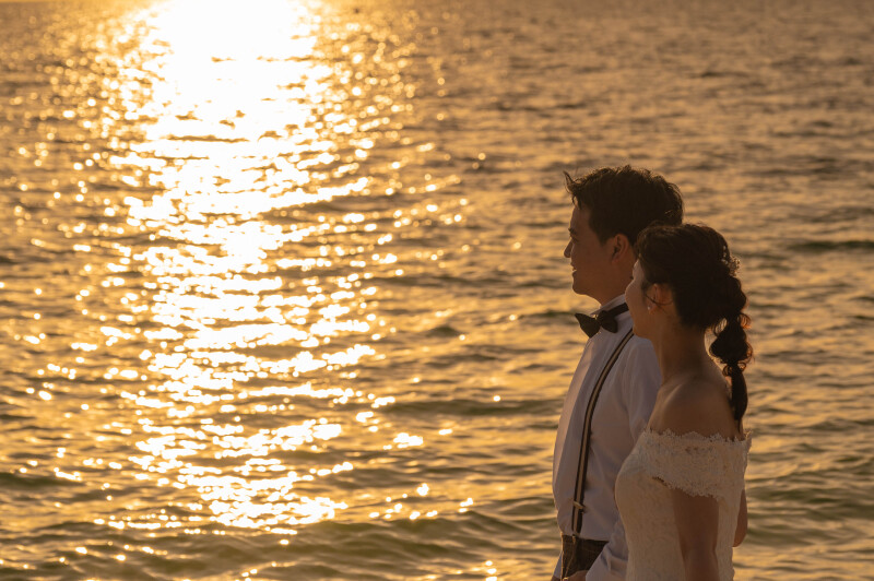 黄金色の海を眺めて