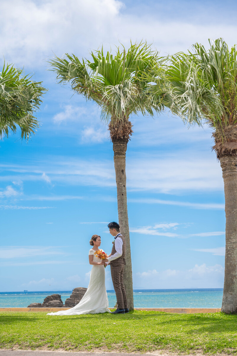 ヤシの木の下で誓う未来