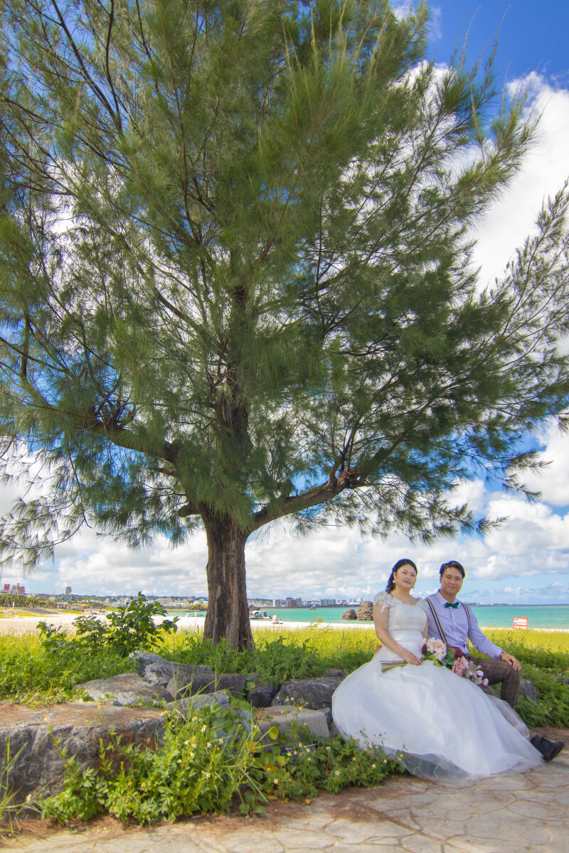 大きな木の下でゆったりひと息