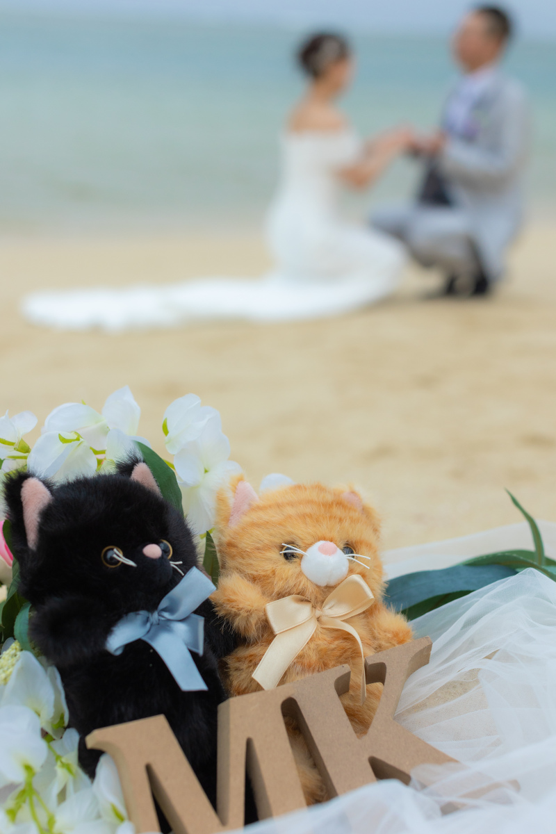 見守る存在と、静かな誓いの時間