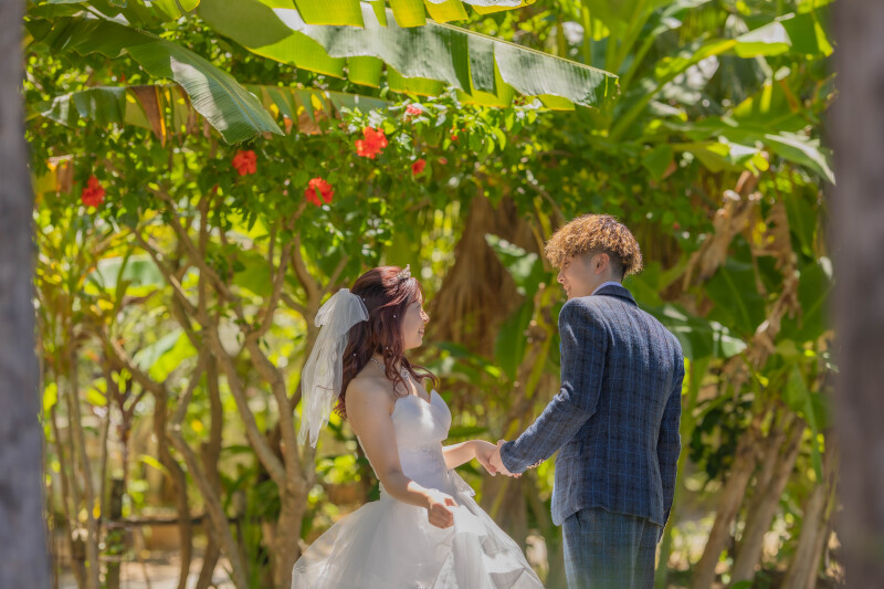 ハイビスカスに囲まれた一瞬