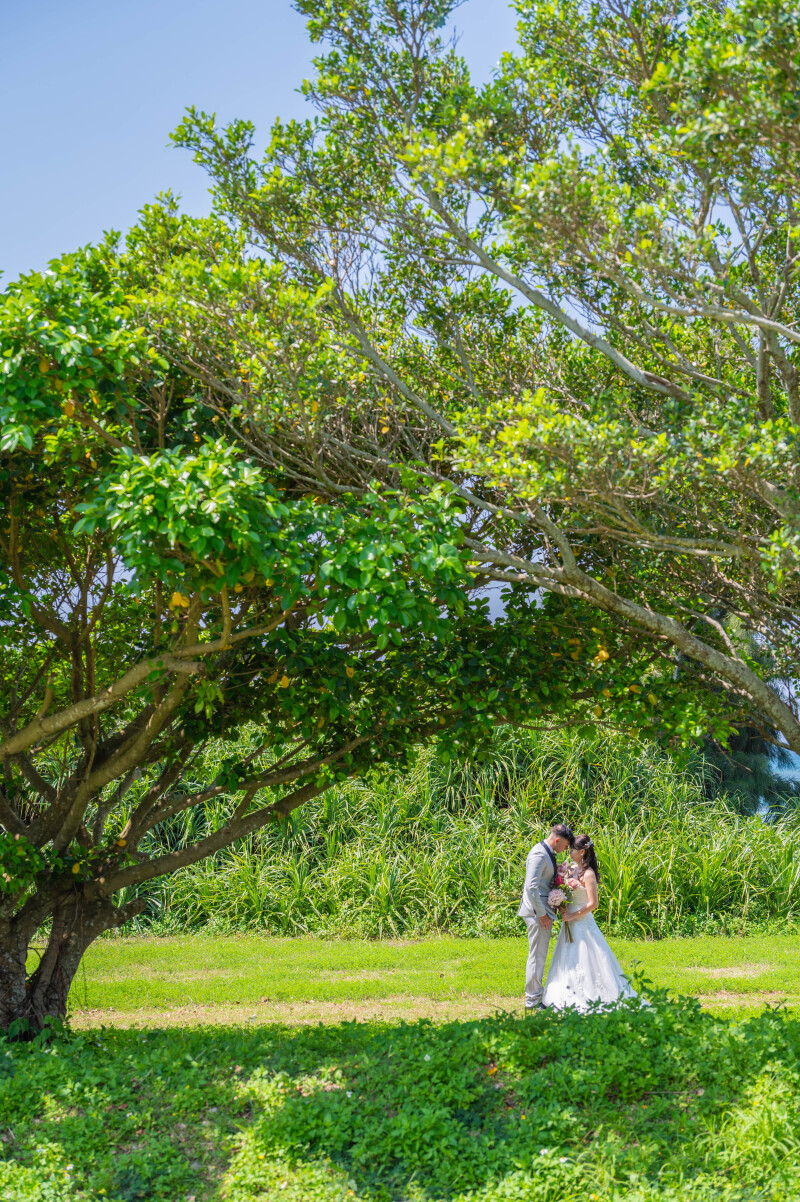 緑に包まれた、静かな締めくくり