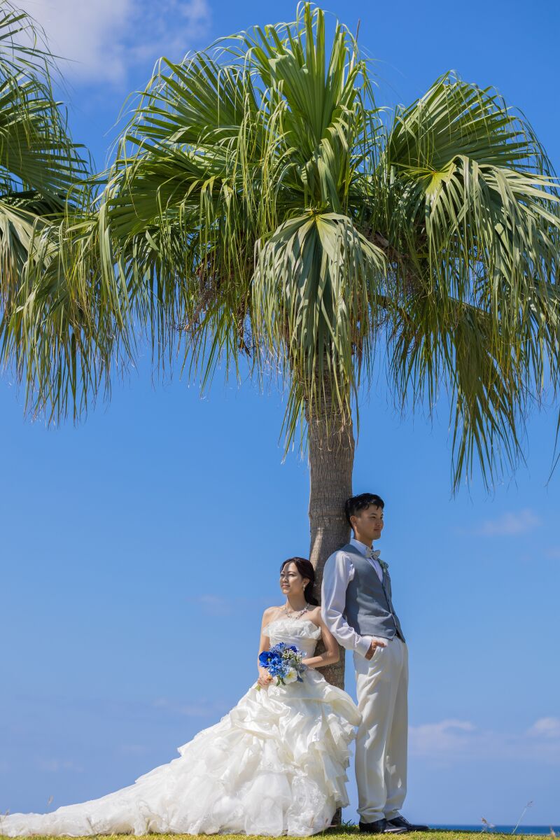 南国の木陰でリラックス