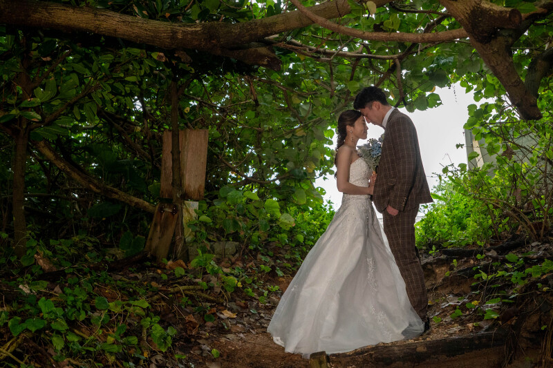 緑に囲まれた、静かな誓い