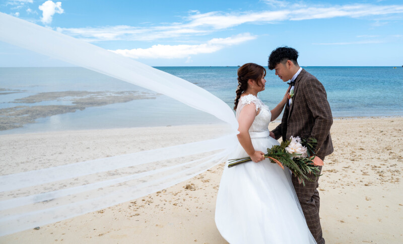 風になびくヴェール