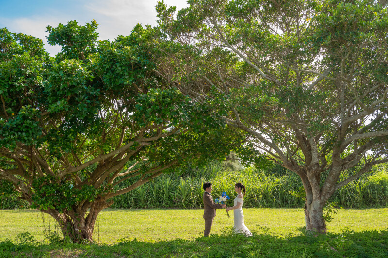 緑に囲まれた約束