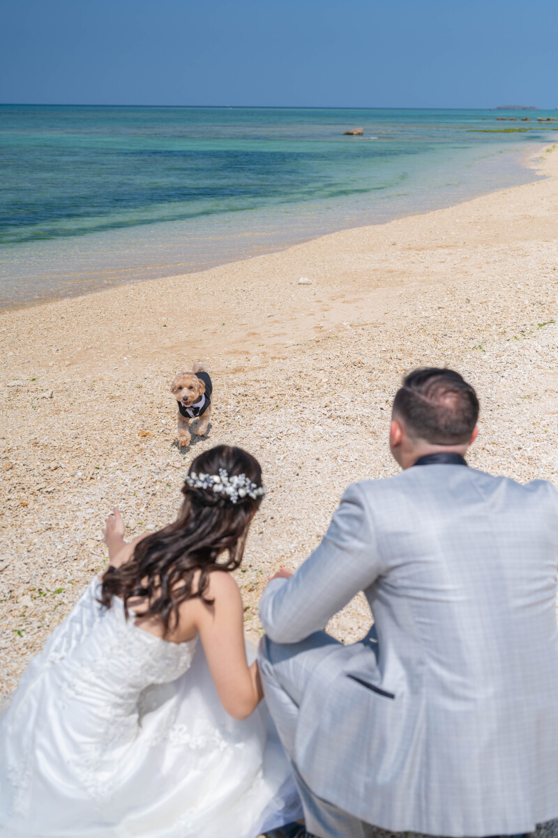 走り出す姿に、思わず笑顔