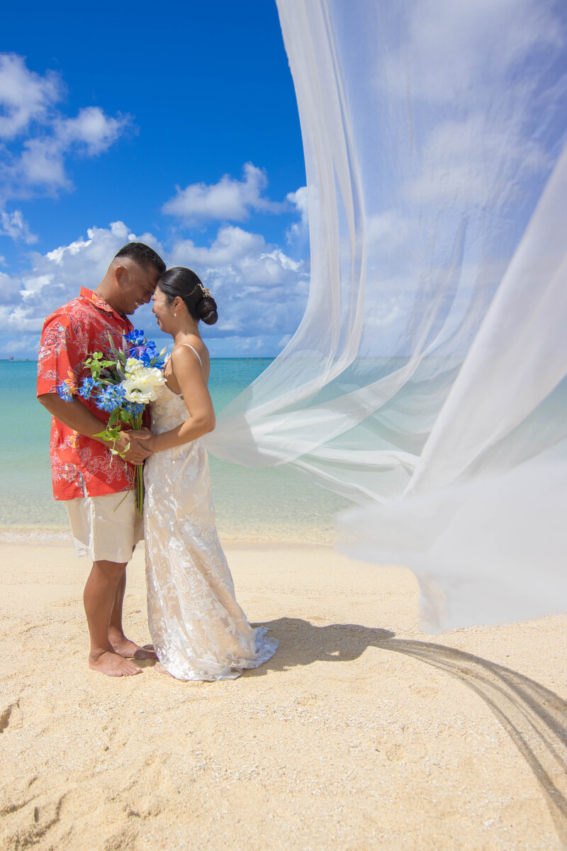 波風に舞うベールと抱擁