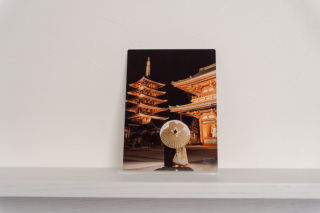 LUMINA PANEL -フォトパネル(メタル)-