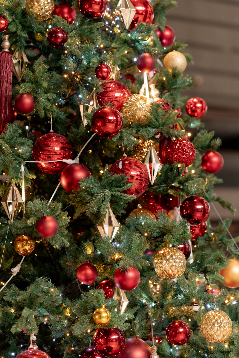クリスマスツリーが彩る冬のフォトウェディング