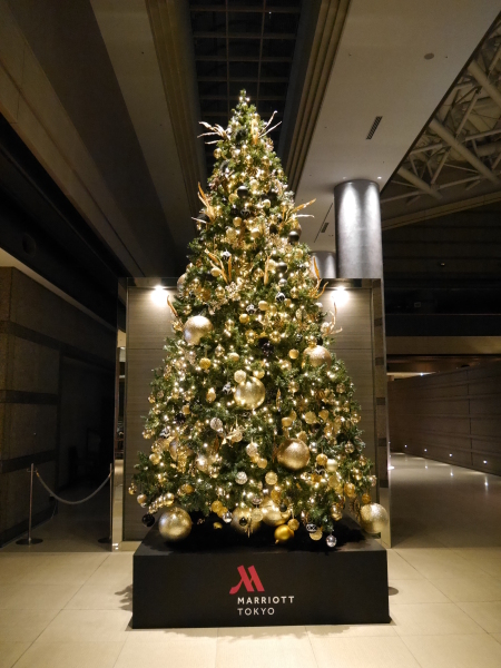 【洋装1着】期間限定!煌めくクリスマスツリー&紅葉フォトプラン
