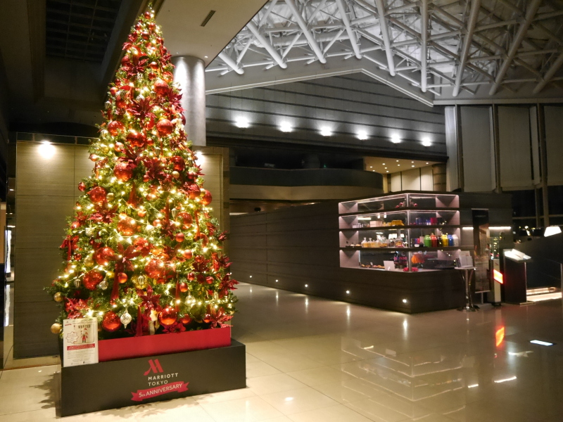 【洋装1着】期間限定!煌めくクリスマスツリー&紅葉フォトプラン