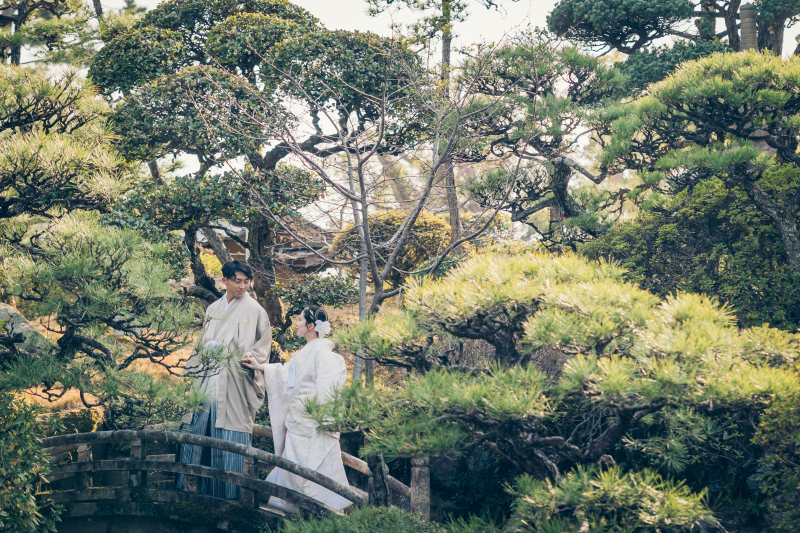 緑にかこまれて