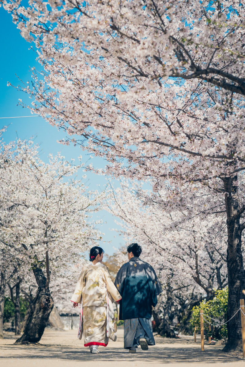 Bridal Photo Studio Lien ～リアン～福山店_pickup