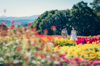 Bridal Photo Studio Lien ～リアン～福山店_pickup