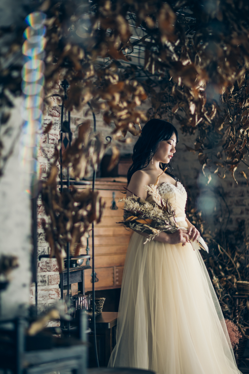 【純白のドレスで美しい】写真データ付きパックプラン