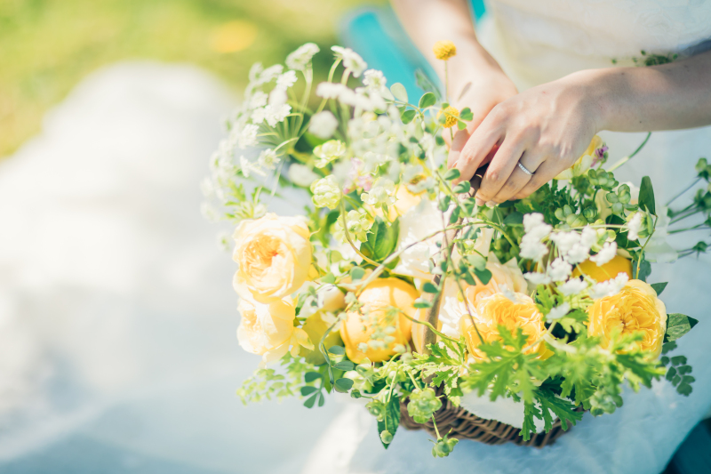 ロケーション ~ONOMICHI MARINE YOUTH~