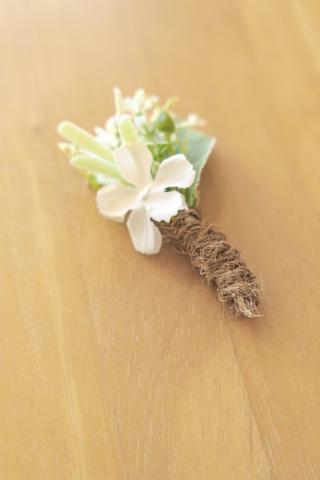 【石垣島】V012A