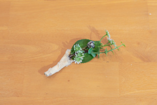 【石垣島】V008A