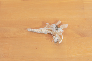 【石垣島】V009A