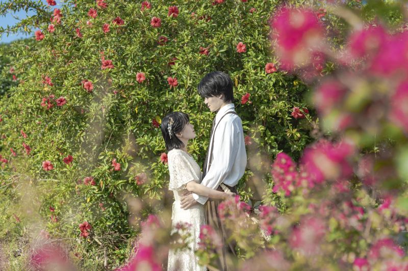 真っ赤に咲き誇るハイビスカスの花！寄り道撮影