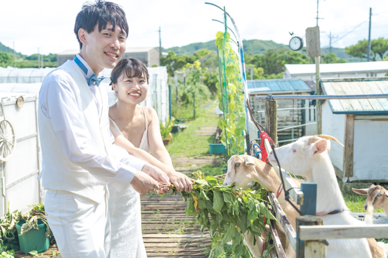 ヤギにえさやり体験!動物好き大歓迎!