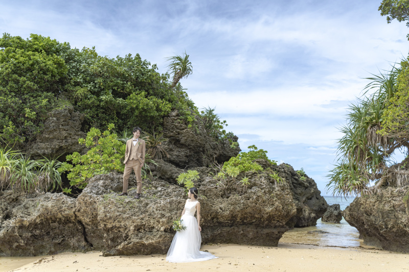 ゴツゴツの岩の上に、南国植物がワサワサ生えてる。