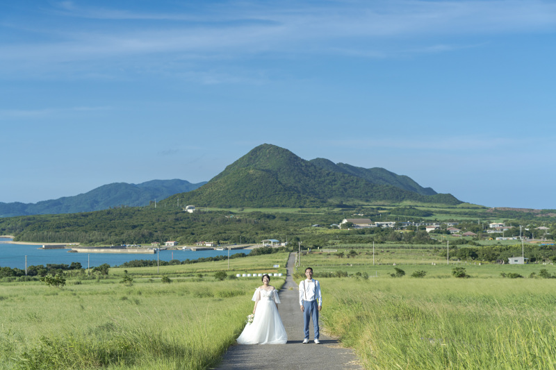 海の見える一本道。牧草地が広がるスポット。