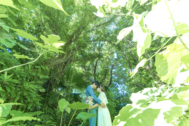 大きい葉っぱの森。まるで小人??