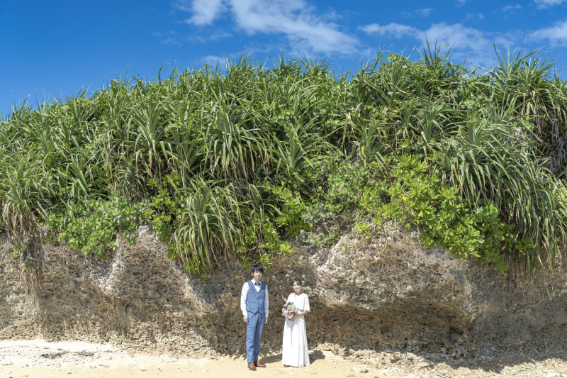 ゴツゴツの岩の上に、南国植物がワサワサ生えてる。