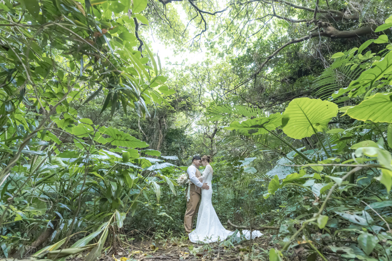今度はモリモリのどジャングルへ。