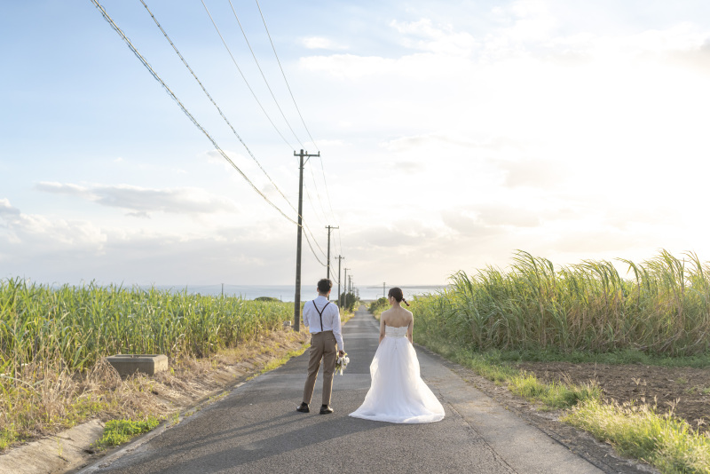 海を一望できる一本道。