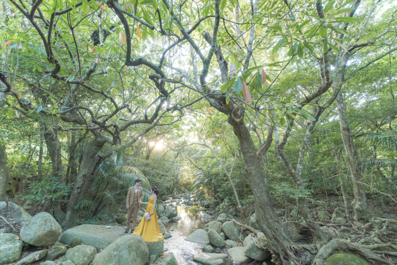 川の流れるジャングルへ。せせらぎを聴きながら