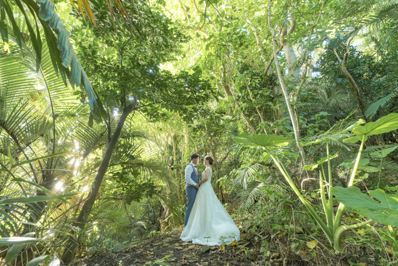 木漏れ日の素敵な大自然感じるジャングルスポット