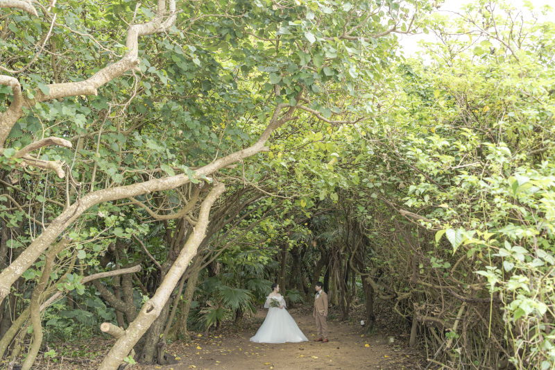 雑多な森も。力強い植物の一面も。